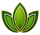 logo 2 (1)